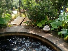 -华侨城阳宗海海景温泉