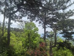 -天姥山景区