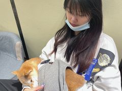 -逗柴咖啡屋·狗咖猫咖宠物桌游