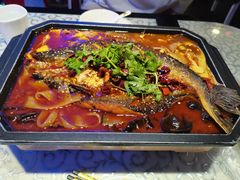 -巴特餐饮6加1音乐餐吧·新疆菜