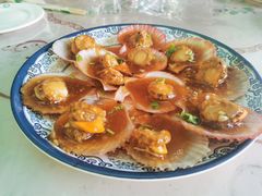 蚝油扇贝-公寓家常菜馆(海军博物馆店)
