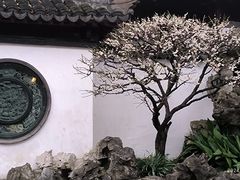 -豫园