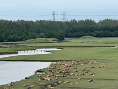 -溱湖国家湿地公园