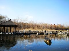 -溱湖国家湿地公园