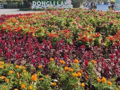 -天津东丽湖风景区