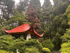 -庐山风景区花径公园