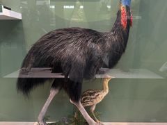 -国家自然博物馆