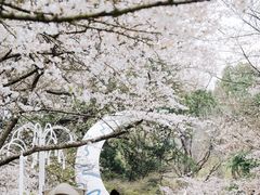 -杭州少年儿童公园