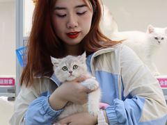 -lincat·猫舍(广州店)