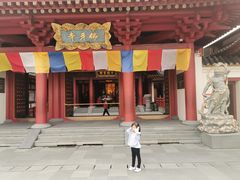 -新加坡佛牙寺龙华院