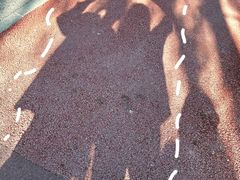 -朝阳公园