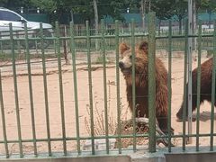 -秦皇岛野生动物园
