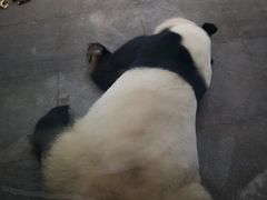 -无锡动物园·太湖欢乐园