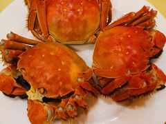 -王宝和酒家(黄浦店)