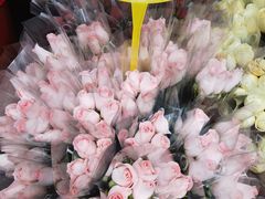 -循礼门鲜花花市(武汉循礼门店)