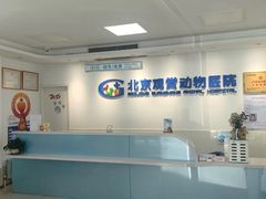 -北京观赏动物医院·24小时大型综合·猫专科·异宠专科