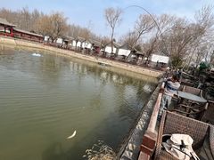 -尚庄度假村·庭台树下·户外烧烤·团建CS·轰趴营地(上庄水库店)