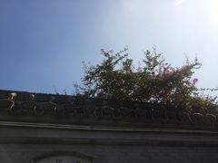-口岸雕花楼