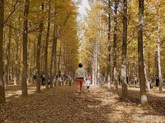 -汉景帝阳陵博物院