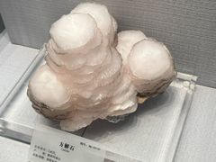 -湖南省地质博物馆