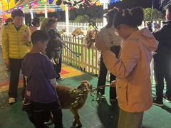 -广州长隆国际大马戏