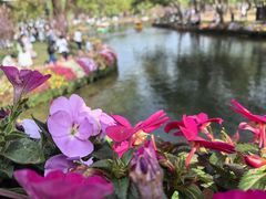 -苏州上方山国家森林公园
