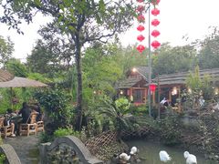 -青城甲(青城山店)