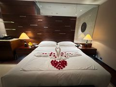 -海南清水湾莱佛士酒店