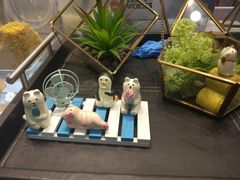 -歎雪糕低糖低脂Gelato冰淇淋