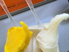 -野人先生现做冰淇淋(北京悠唐购物中心店)