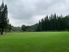 -深圳仙湖植物园