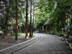 -苏州河梦清园环保主题公园