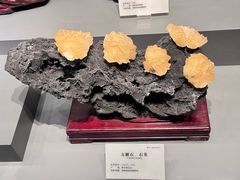 -湖南省地质博物馆