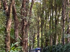 -华南国家植物园-售票处