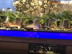 -海吃海喝海鲜烤肉炭火主题自助餐(朝阳店)
