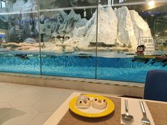 -帝企鹅自助餐厅•儿童岛•真企鹅(长隆企鹅酒店)