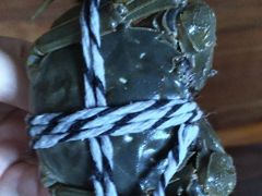 -乡乐园蟹庄·阳澄湖农家乐