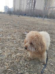 -HEYAN荷妍专业脱毛连锁机构