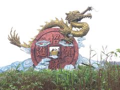 -白洋淀景区