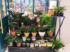 -BOBLOOM花店(宝龙旭辉广场店)
