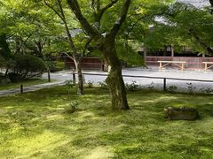-西芳寺(苔寺)
