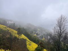 -石潭村