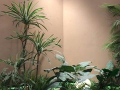 -奈雪的茶(广州万菱汇PRO店)