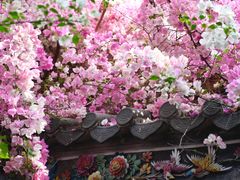 -深圳国际园林花卉博览园