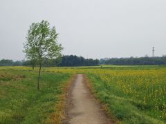 -良渚古城遗址公园
