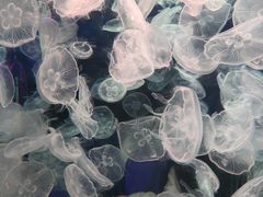 -多彩贵州城极地海洋世界