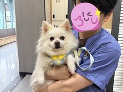 -半岛宠物医院24小时(西派城店)