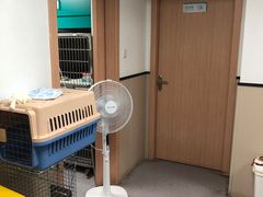 -安安宠医宠物医院·异宠·犬猫内科(岳阳分院)
