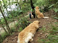 -青龙山国家森林公园