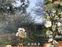 -苏州上方山国家森林公园